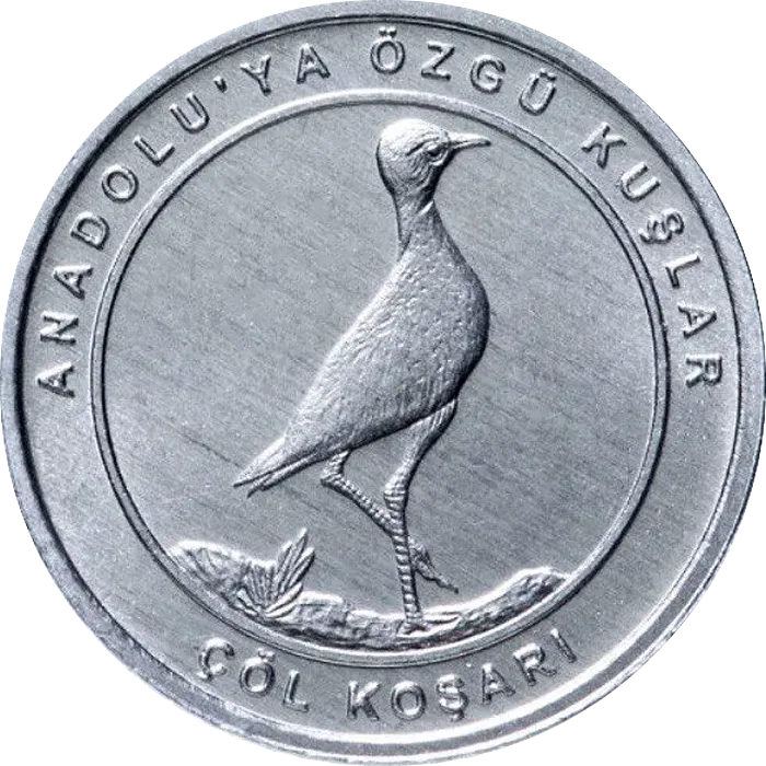 Çöl Koşarı